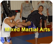 mma_program